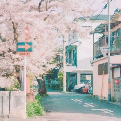 日本全国四分之一的市町村没有实体书店 各界深表担忧